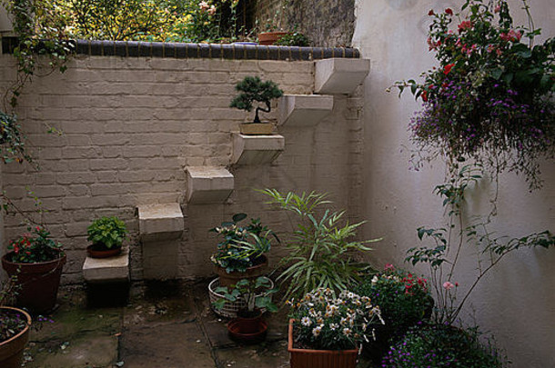 铺好的地下室区域上的吊篮和花盆，带有通往<strong>花园</strong>的台阶