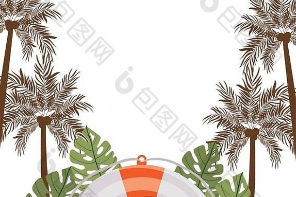 模式棕榈树椰子白色背景