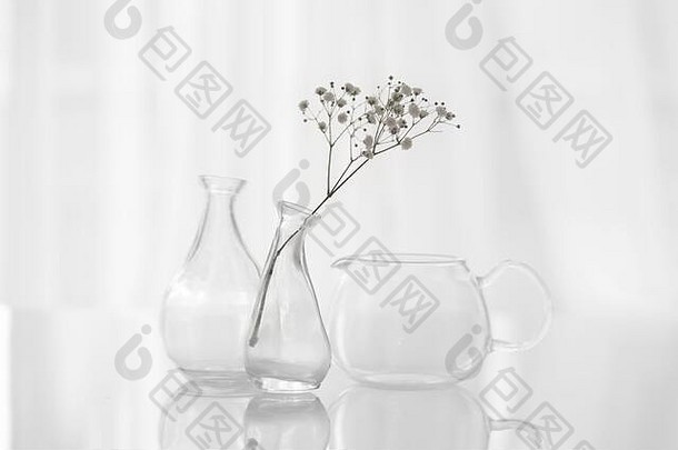 室内装饰，白色背景花瓶中的花朵，自然，简约