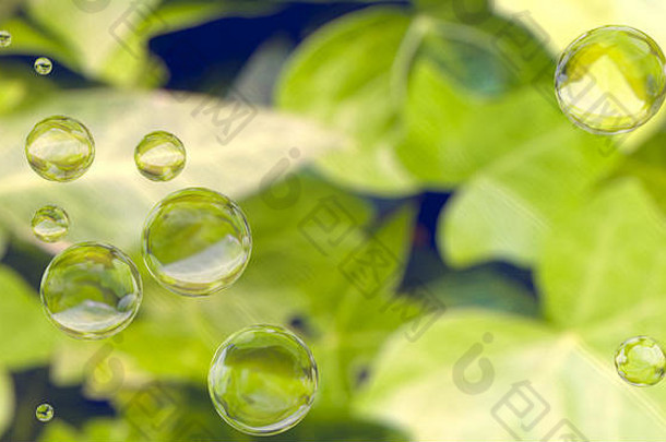 绿叶背景上水滴的三维渲染