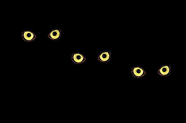 晚上有一双大大的黄色猫头鹰眼睛