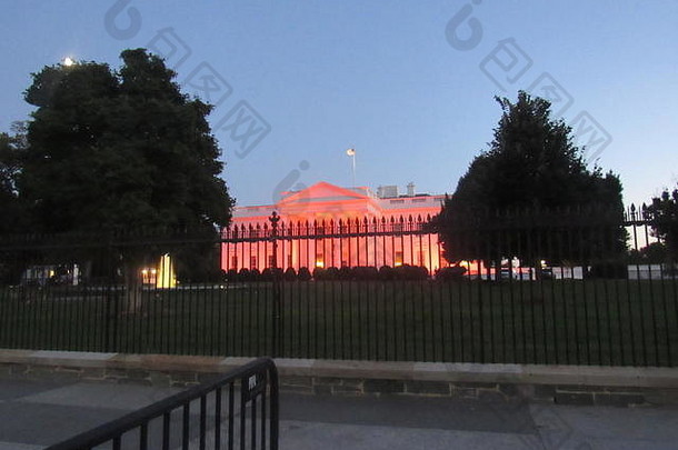 华盛顿美国10月白色房子基斯粉红色的荣誉国家乳房癌症意识月华盛顿美国信贷凯尔蝙蝠除生活新闻