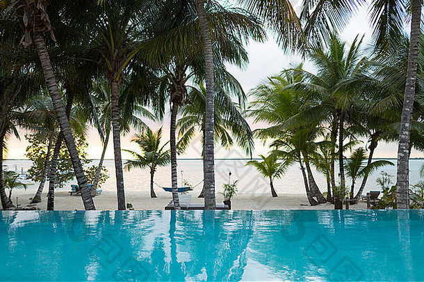 热带海滩游泳池