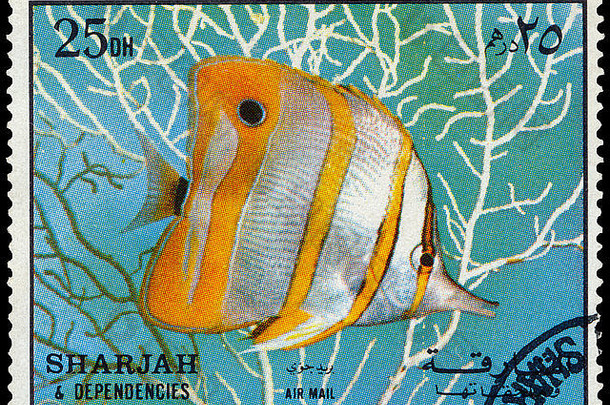 沙迦约邮票印刷沙迦显示鱼约