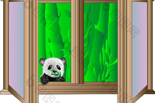 熊猫熊望着窗外
