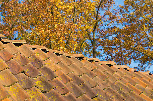 秋天风化的屋顶瓦