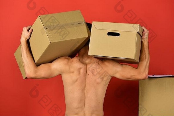 交付和移入概念。在红色背景上被隔离的人回来了。男子汉肩上扛着箱子。在纸板箱中有着强壮手臂的男人。