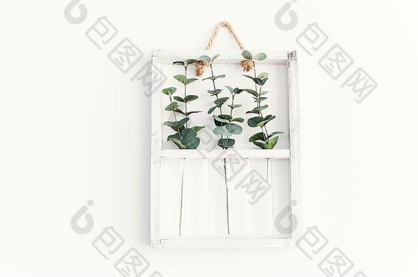 白色木质框架中的绿色植物装饰构成，悬挂在白色墙壁上