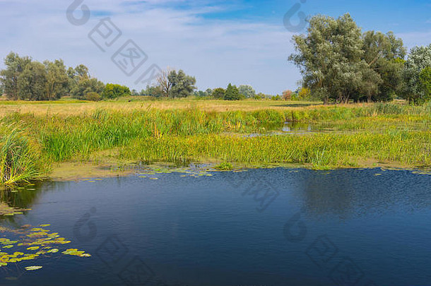 乌克兰中部梅拉小河上的夏末景观