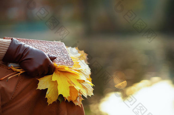 秋天特写镜头现代女人毛衣裙子手套棕色（的）笔记本黄色的叶子坐着板凳上奥图姆