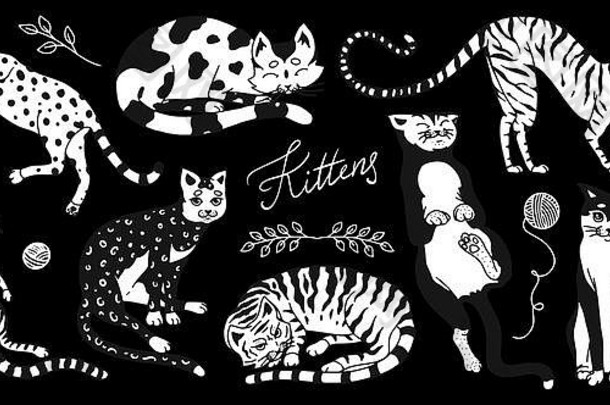 收集猫。清洗、玩耍和睡觉的动物。黑色背景上可爱有趣的家庭猫咪。横幅或横幅的手绘雕刻草图