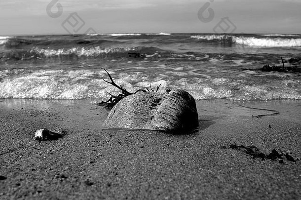 黑与白可爱的几何摘要喜怒无常的有<strong>创意</strong>的海洋海海滩海滨海滩海岸海岸