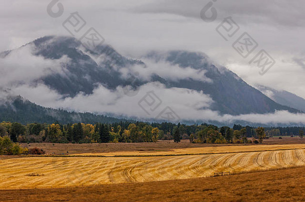 华盛顿温斯洛普附近，秋天一片空旷的农田，背景是多云的山脉。