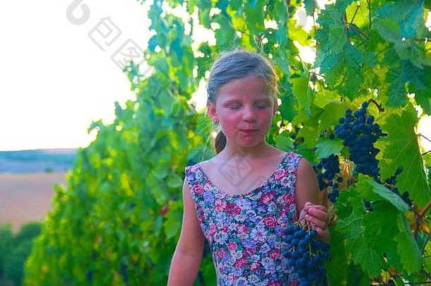 在阳光明媚的秋天葡萄园里，可爱的小女孩手里拿着新鲜的蓝葡萄。穿着<strong>花裙子</strong>的学龄前女孩。带着一串蓝葡萄的可爱小女孩。浪漫形象