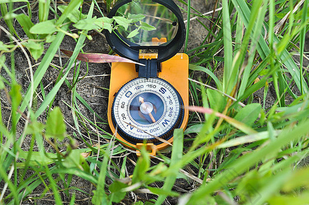 指南针在草地上。磁罗盘是七月草地上的绿草。