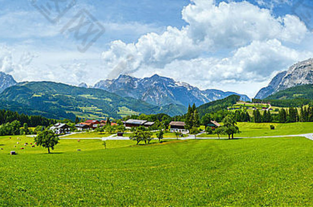 夏天高山山国家全景长满草的草地路村奥地利