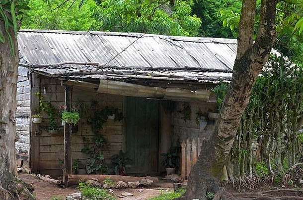 古巴南部Sierra Maestra山麓Guisa村附近的传统<strong>农村</strong>住宅