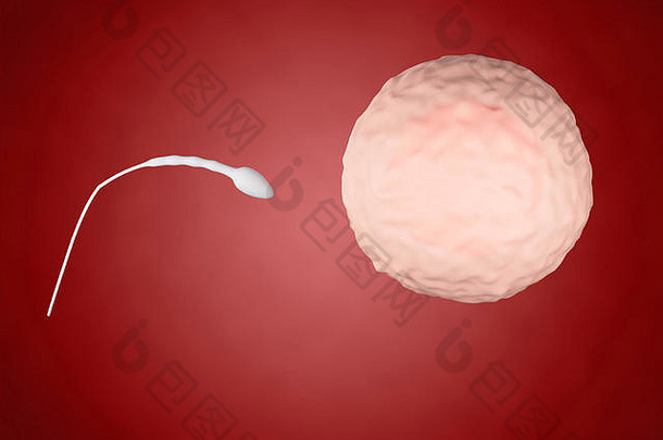 3d渲染器图像。精子进入胚珠。受精。授精概念。