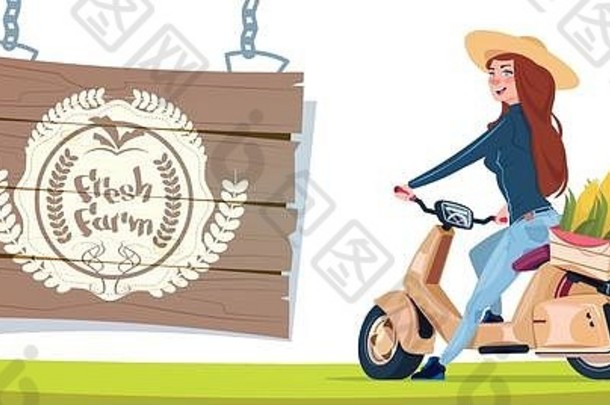 新鲜的农场标志横幅女农民电踏板车运输盒子蔬菜