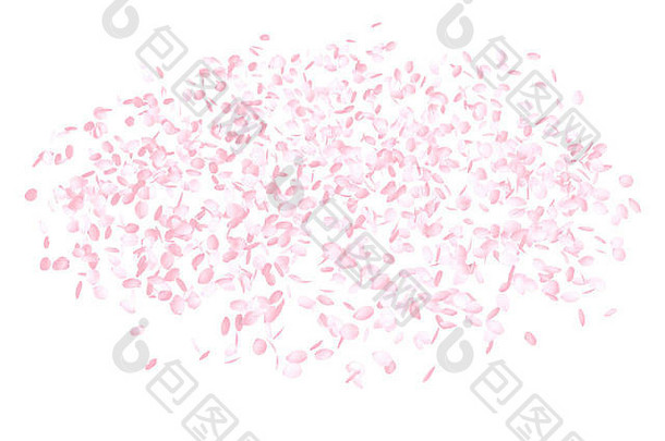 粉红色的花花瓣空气樱桃花朵