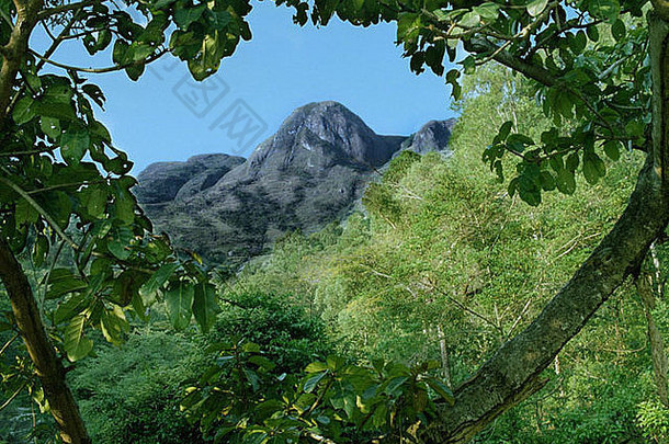 马拉维山耸立在<strong>全国各地</strong>。在这片肥沃的土地上，它的底部种植了许多茶树。马拉维、非洲