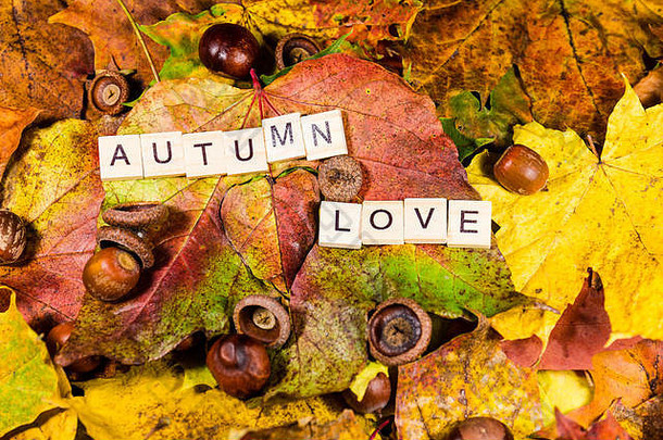 秋天的落叶做成的色彩鲜艳的背景
