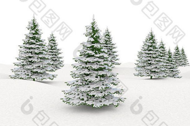 冬季景观白色背景上的雪景和冷杉圣诞树