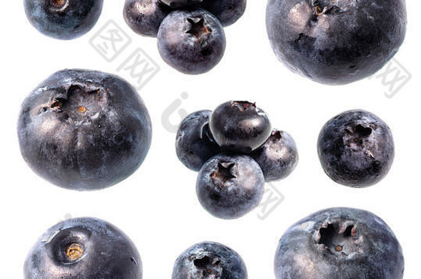 集新鲜的蓝莓水果减少白色背景