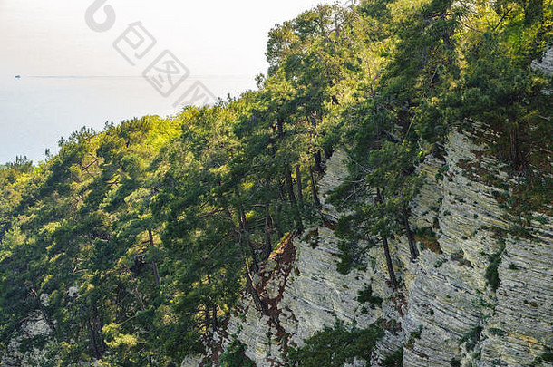 岩石悬崖密集的绿色森林春天颜色山森林海可见地平线自然背景春天季节