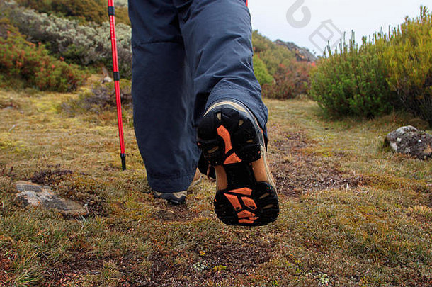 澳大利亚塔斯马尼亚的阿尔卑斯山环境中，一名妇女穿着登山鞋或靴子在丛林中行走的特写镜头。