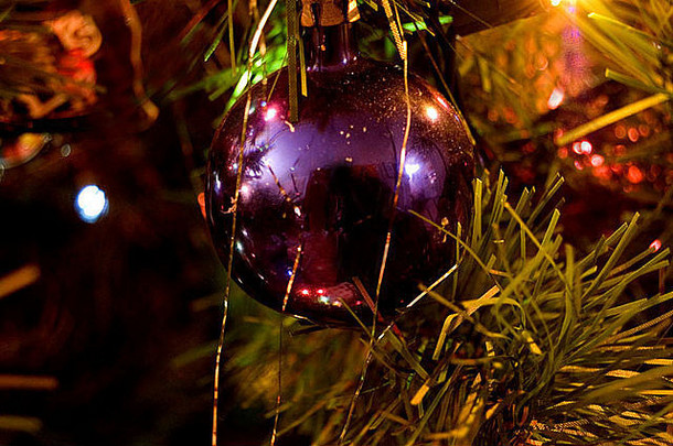 紫色的圣诞节树点缀