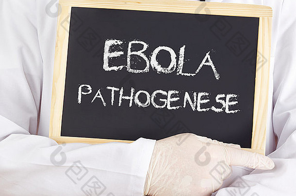 医生展示信息：德国埃博拉发病机制