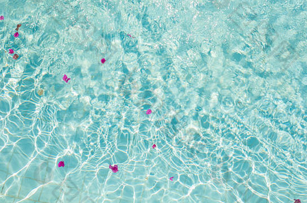 池水的质感与粉红色花瓣的花朵。清澈的蓝色海水和倒影。