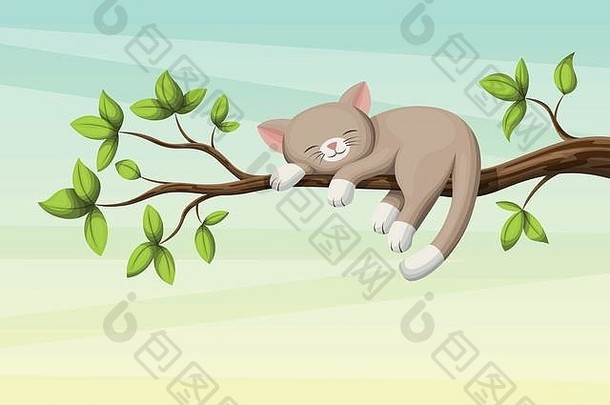 小猫睡在有叶子的树枝上