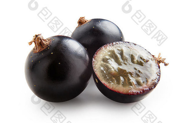 黑色的醋栗成熟的多汁的浆果黑色的醋栗孤立的白色背景黑色的醋栗减少