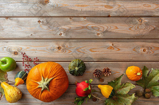 感恩节的概念。乡村木质背景上的彩色南瓜、水果和落叶，空间，俯视图