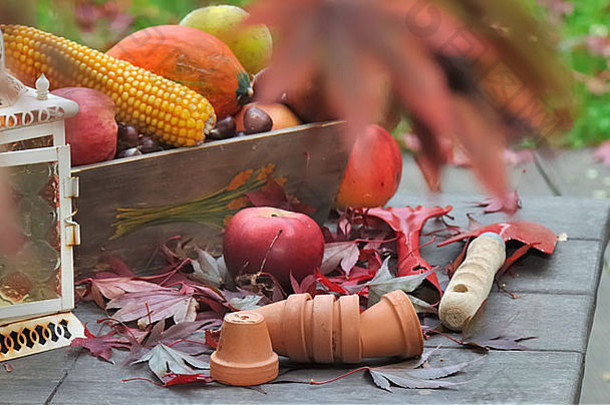 水果和蔬菜用园艺工具落在桌子上