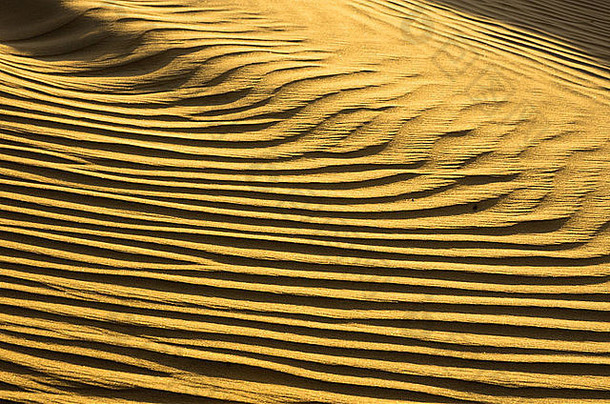 黄金沙漠中的砂结构