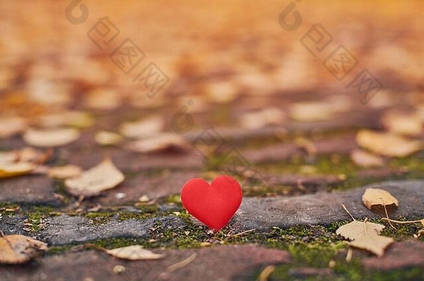一颗心在秋天的小路上。单恋、单恋或孤独的概念。象征着情人节的单恋受害者。秋高气爽
