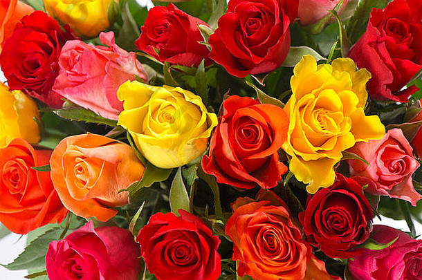 美丽的花束，五颜六色的新鲜什锦玫瑰