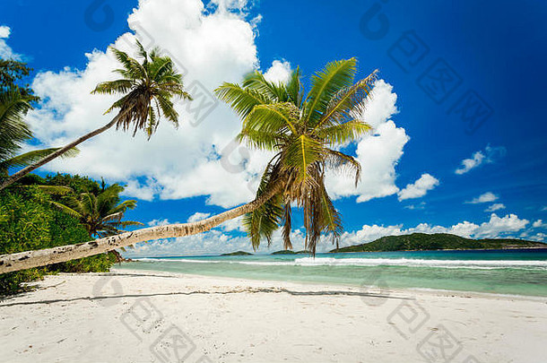 美丽的视图热带海滩迪格岛塞舌尔