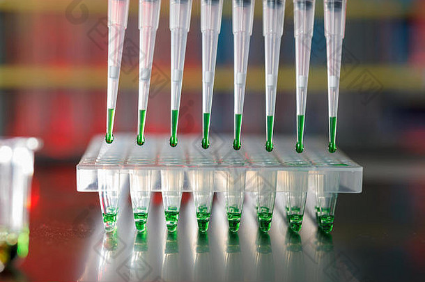 基因<strong>实验室</strong>中用于解密遗传密码的电泳装置