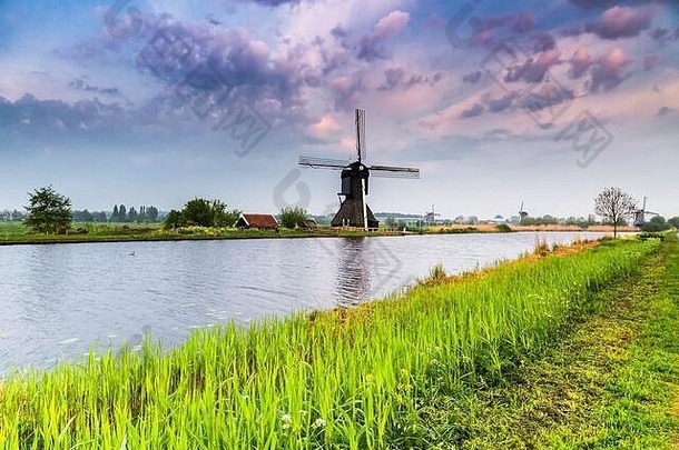 联合国教科文组织世界遗产地肯德迪克的传统荷兰风车。莫伦瓦德，南荷兰，荷兰，欧洲。