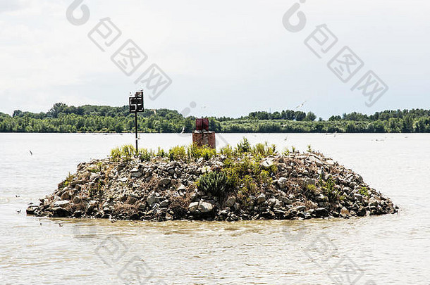 小岛石头飞行嵌套海鸥多瑙河河自然场景美自然