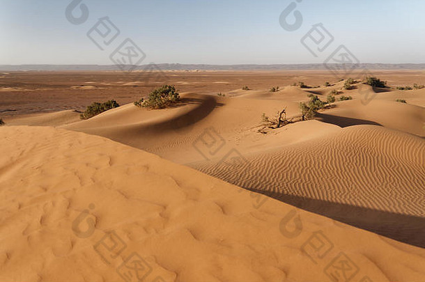 摩洛哥撒哈拉沙漠的沙丘