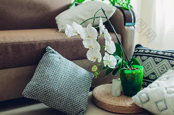 现代客厅内部细节。榻榻米草垫，地板上装饰有兰花、蜡烛和枕头