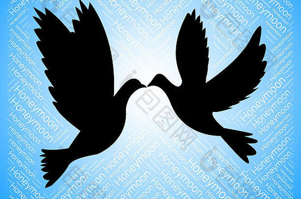 蜜月鸽展示爱情鸟和浪漫