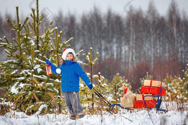 可爱的男孩圣诞老人他携带木雪橇礼物雪森林
