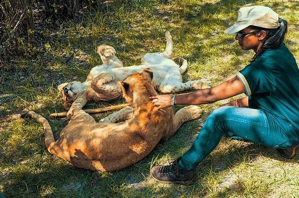 非洲女人坐着地面玩月初级狮子豹属利奥科林马背上的非洲天玺南非洲