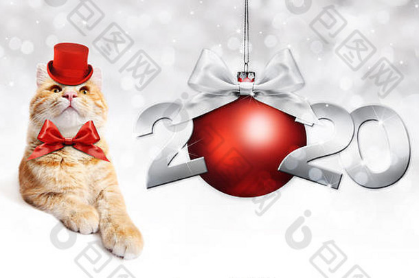 2020年新年快乐数字文本，带红色帽子和圣诞球的有趣神奇姜汁猫，在银色模糊灯光背景下隔离